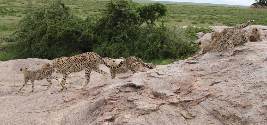 Ziwa Rhino Sanctuary
