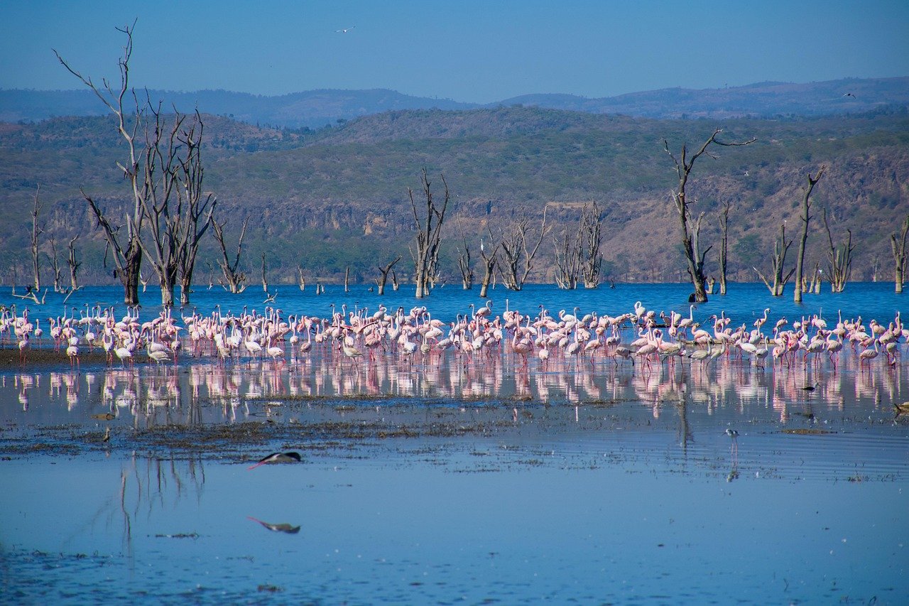 Lake Nakuru National Park