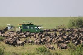 Tour Image