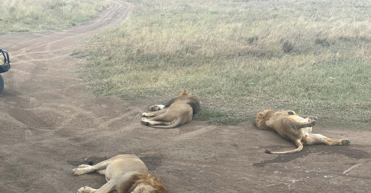 3-Day Serengeti & Ngorongoro Crater Big Five Safari