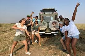 Explore 1-Day Serengeti tour joining Safari